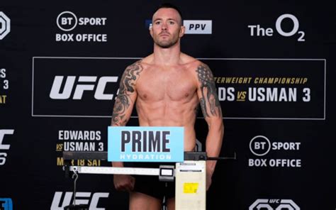 colby covington|colby covington next fight.